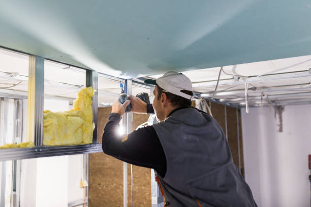 Best Fiberglass Insulation in Story City, IA