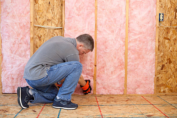 Best Spray Foam Insulation in Story City, IA