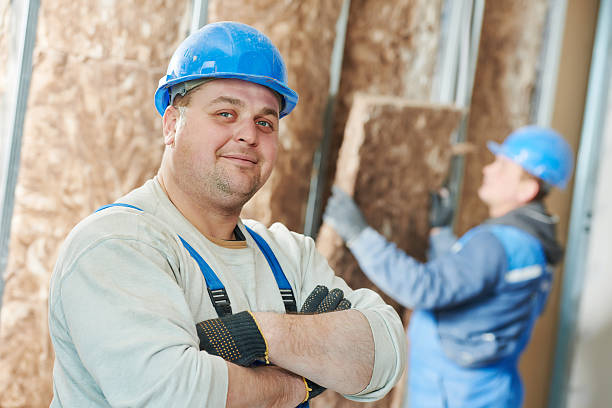 Best Cellulose Insulation in Story City, IA