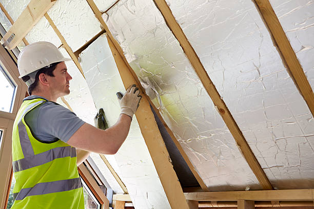 Best Eco-Friendly Insulation in Story City, IA